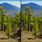 La Palma am Bejenado (3D-X-View)