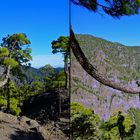 La Palma auf dem Bejenado (3D-X-View)