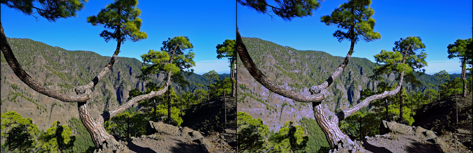 La Palma auf dem Bejenado (3D-X-View)