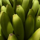 La Palma Bananen