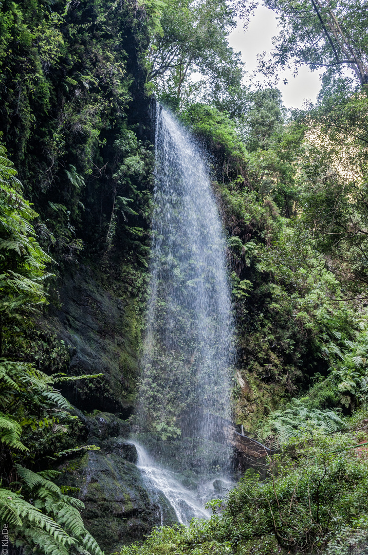 La Palma - Barranco del Agua - Wasserfall