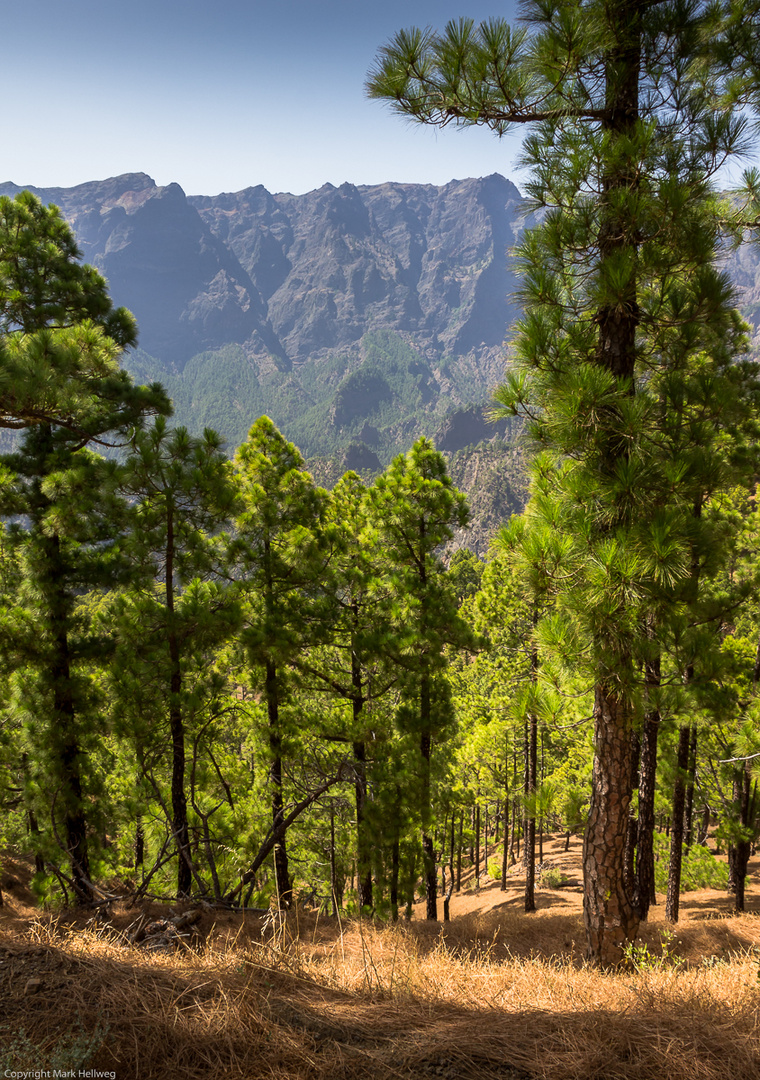 La Palma - Blick auf die Caldeira