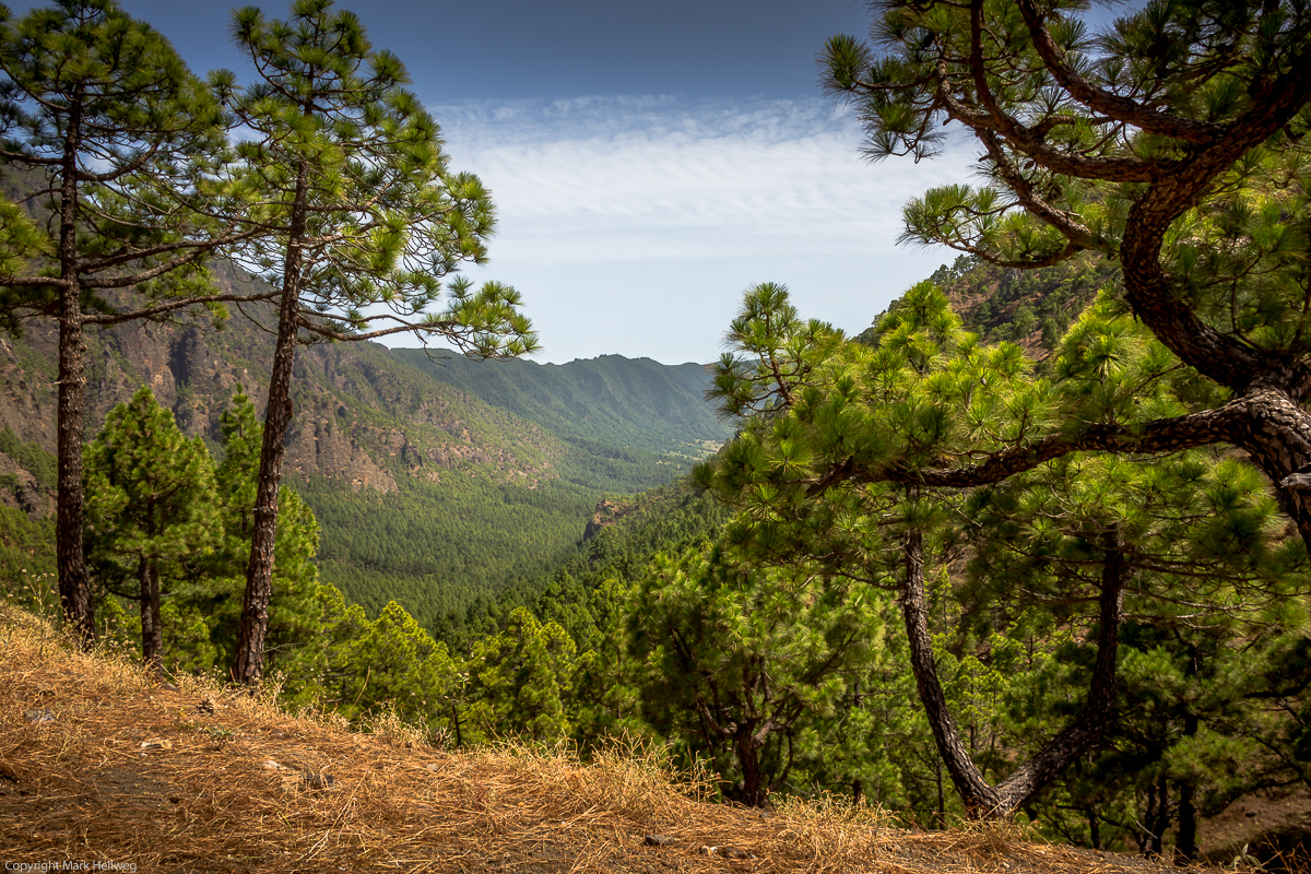 La Palma - Blick ins Innere