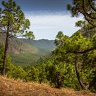 La Palma - Blick ins Innere