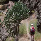 La Palma - Caldera