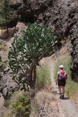 La Palma - Caldera