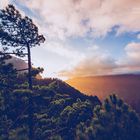 La Palma - Caldera de Taburiente