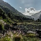 La Palma - Caldera de Taburiente - Am Ziel