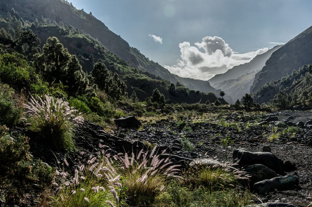 La Palma - Caldera de Taburiente - Am Ziel