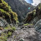 La Palma - Caldera de Taburiente - Im Flussbett