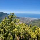 La Palma - Canarias