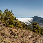 La Palma, Cumbre