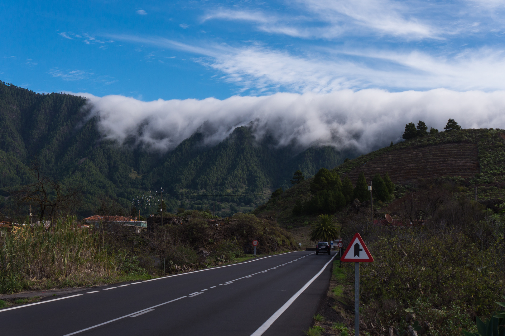 La Palma ....