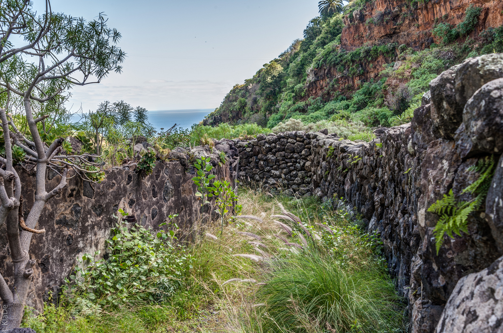 La Palma - Der Weg der Jungfrau Las Nieves