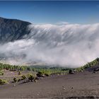 La Palma - Die Cascada