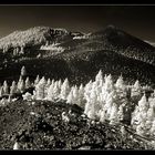 La Palma - Die Vulkanroute