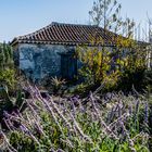 La Palma - Hütte oberhalb von El Time 