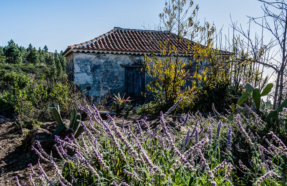 La Palma - Hütte oberhalb von El Time 