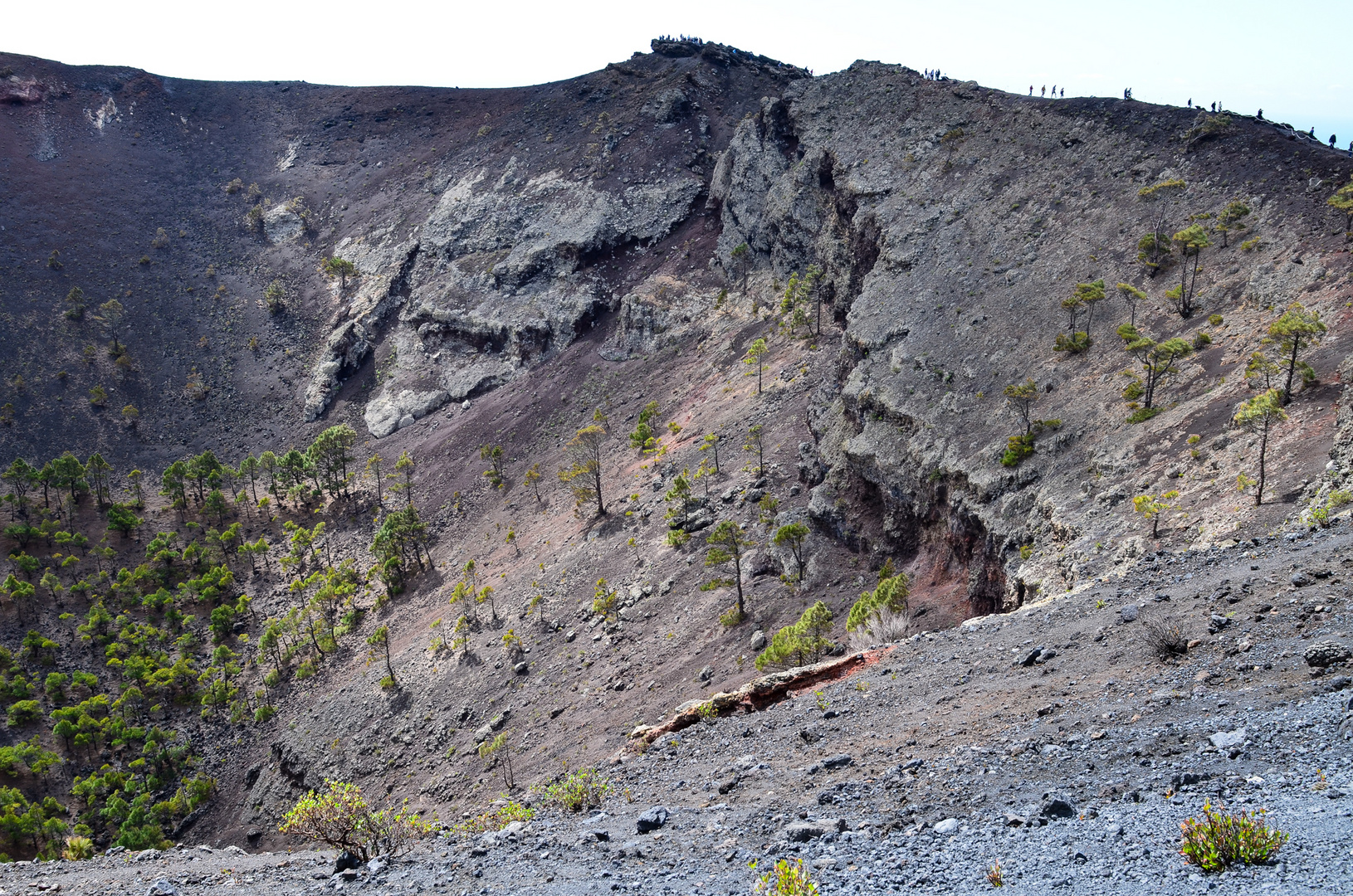 La Palma - Impressionen - Krater St.Antonio - Nr. 15