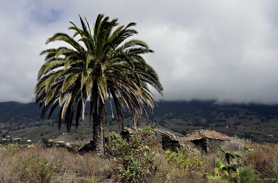 La Palma ist die Nordwestlichste der sieben großen Kanarischen Inseln im Atlantischen Ozean.