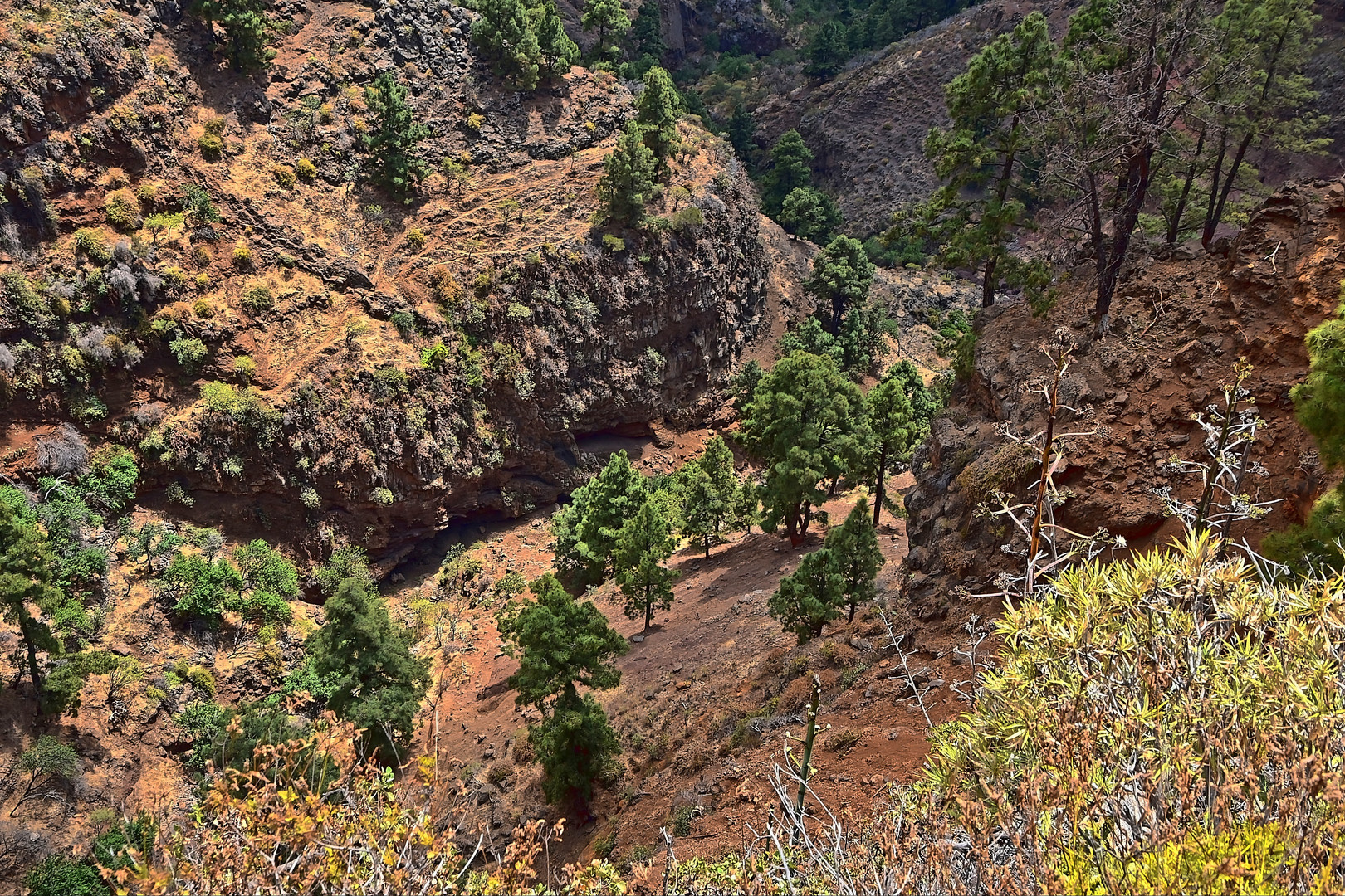 La Palma / Kanaren