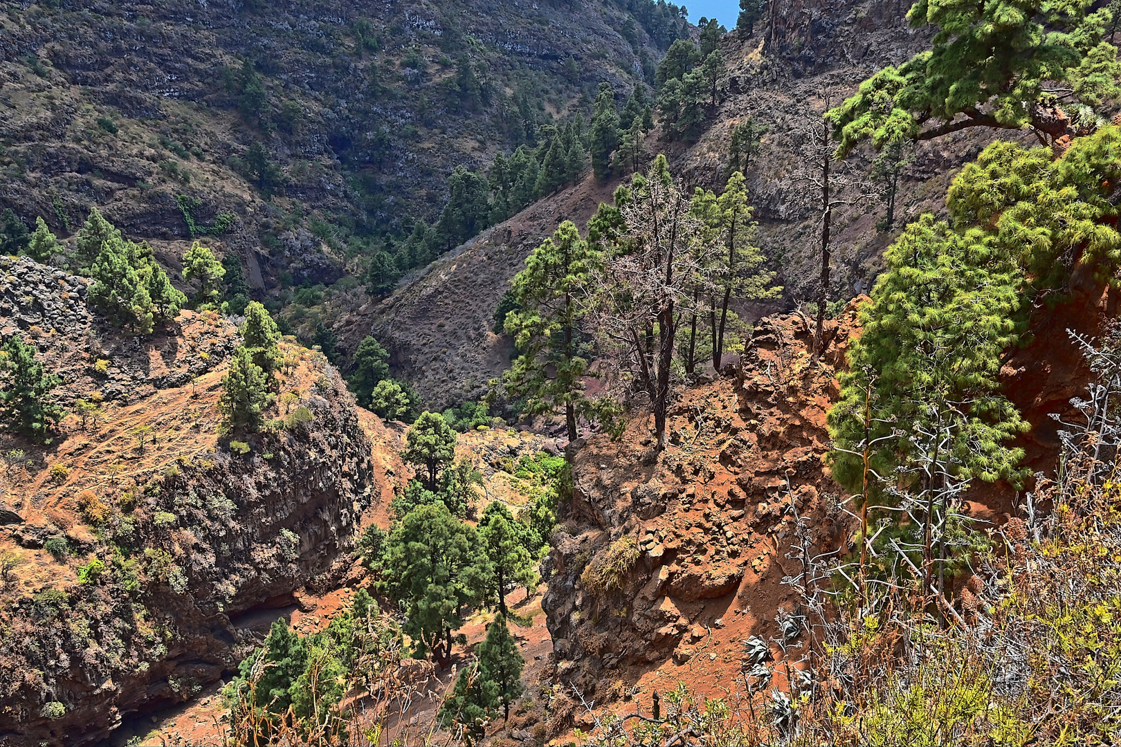 La Palma / Kanaren