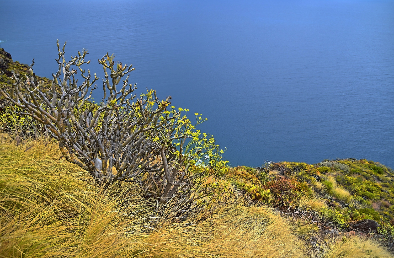 La Palma / Kanaren