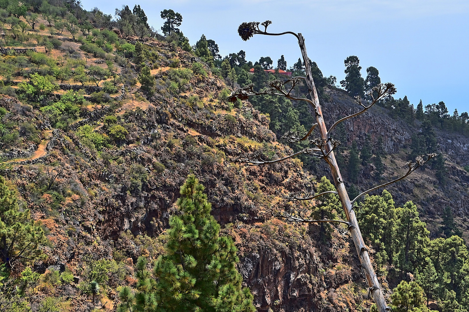 La Palma / Kanaren