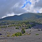 La Palma / Kanaren