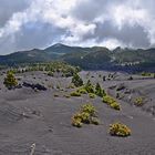 La Palma / Kanaren