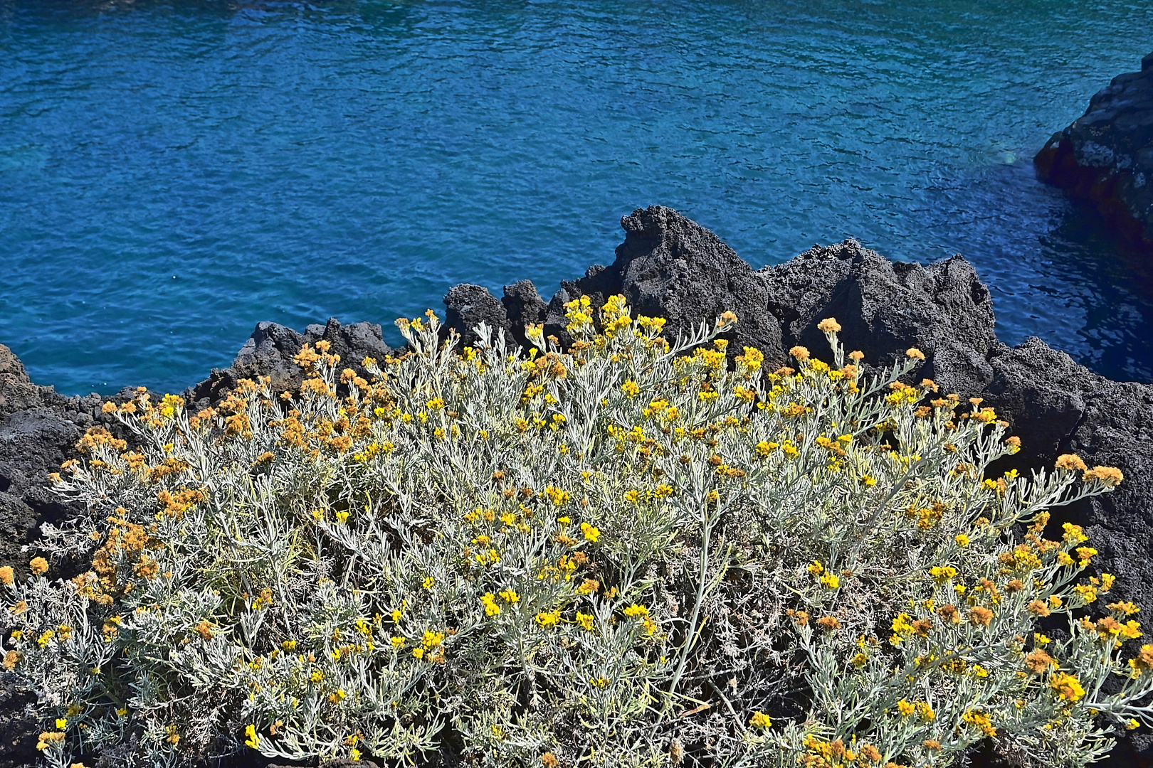 La Palma / Kanaren