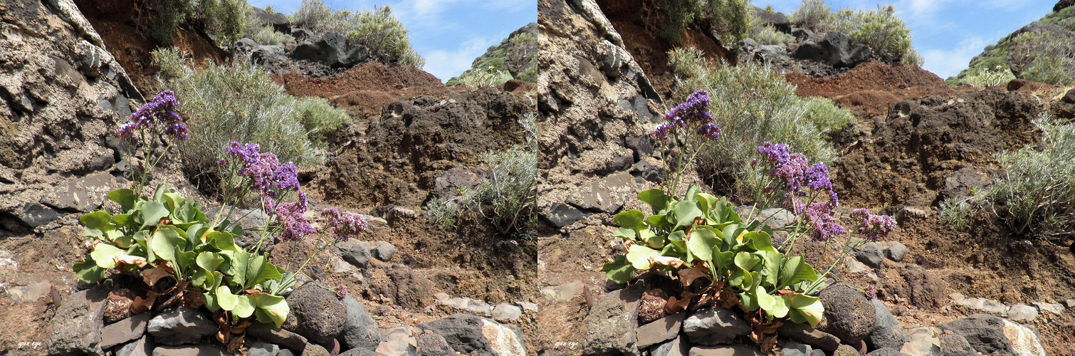 La Palma Kanaren Spanien - 3D Kreuzblick