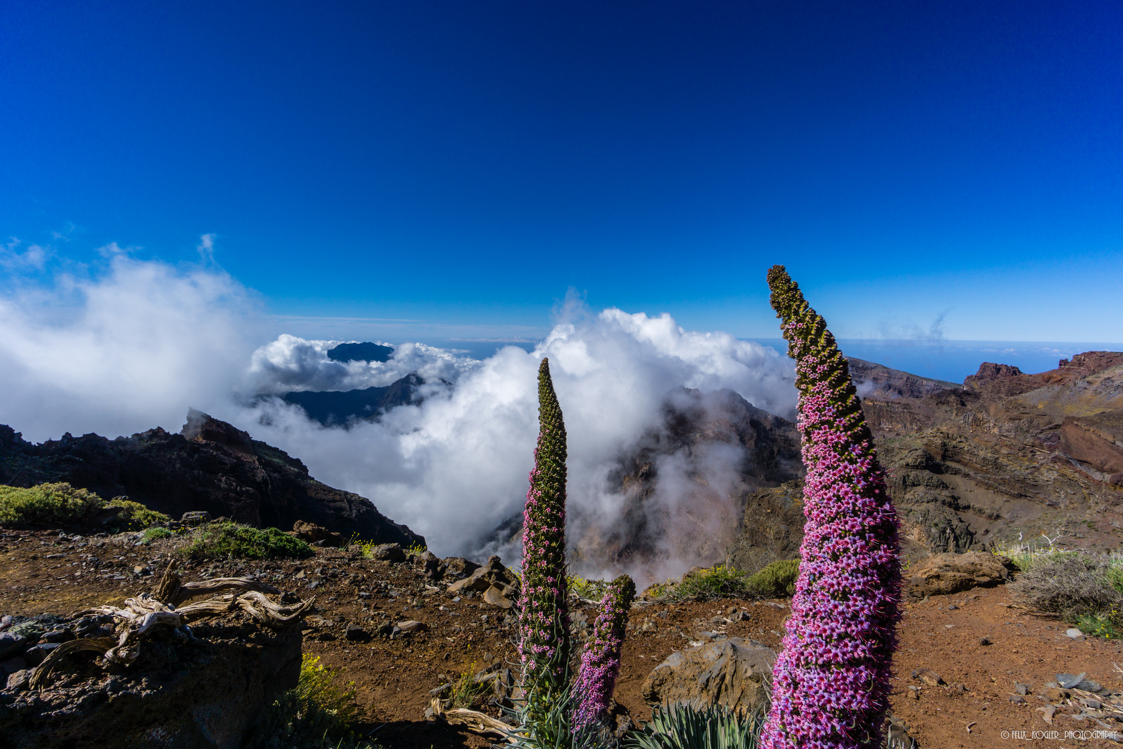 "La Palma - La Isla Bonita"