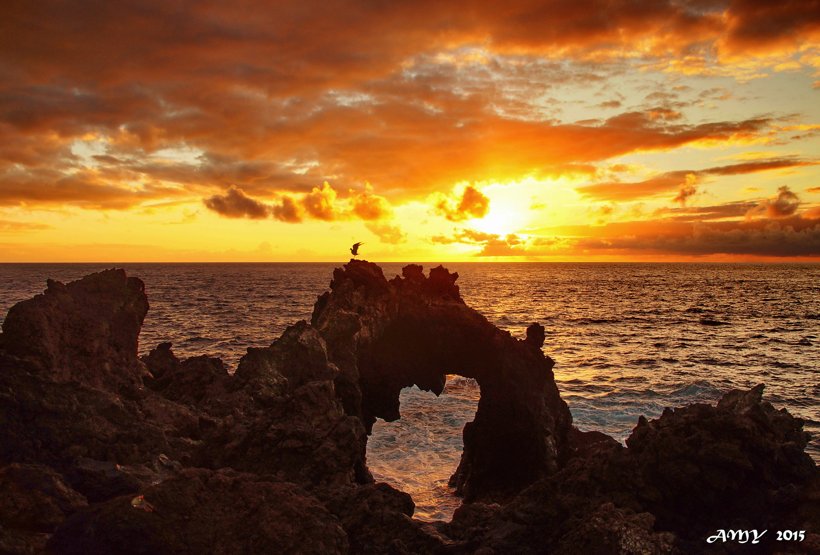 LA PALMA, LA ISLA DE LOS SUEÑOS. Dedicada a LILIYA LK.