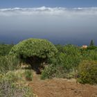 La Palma Landschaft