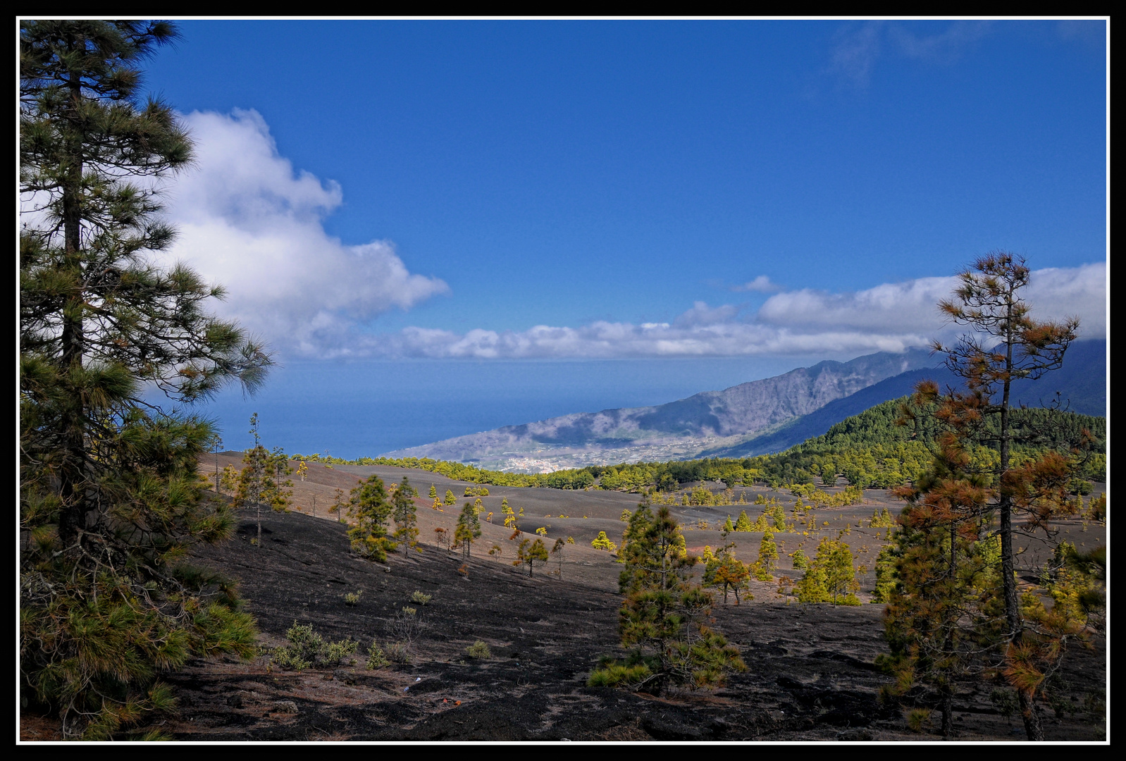 La Palma - Mirador