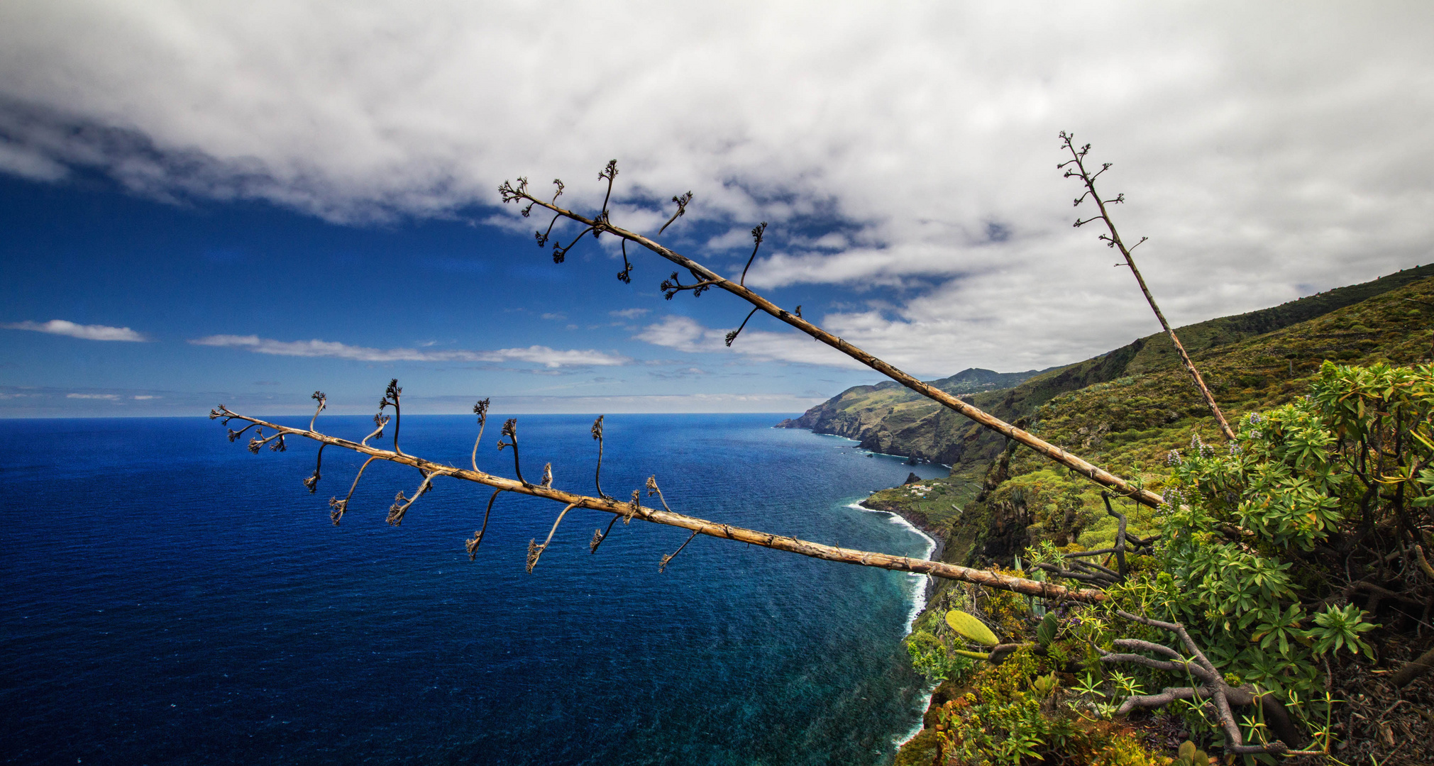 La Palma - Nordküste