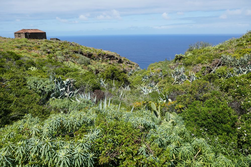 La Palma - Nr. 3