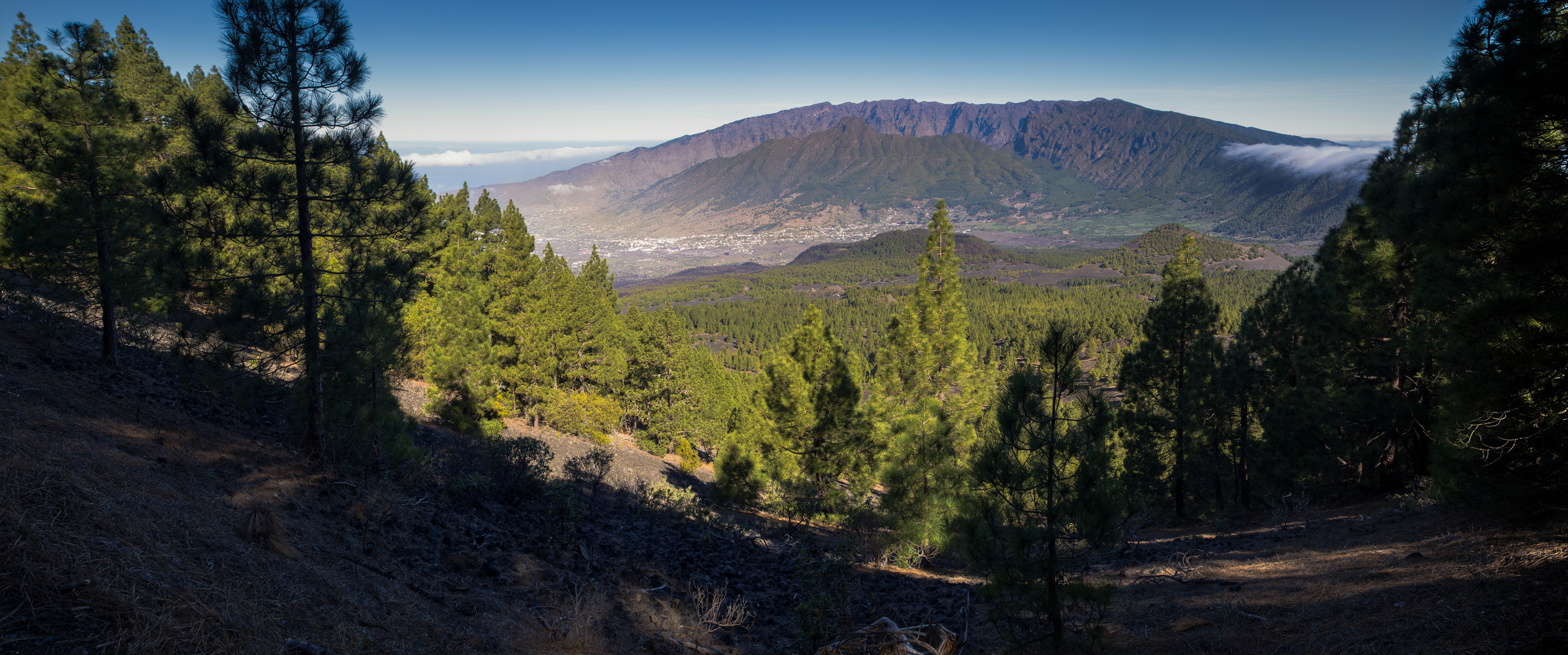 La Palma-Panorama