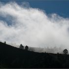 La Palma - Pico Birigoyo