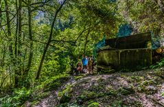 La Palma - Rast im Lorbeerwald