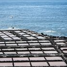 La Palma - Salinas de Fuencaliente - Sole-Becken