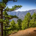 La Palma - Schöne Aussicht