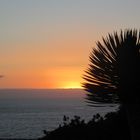 La Palma Sunset