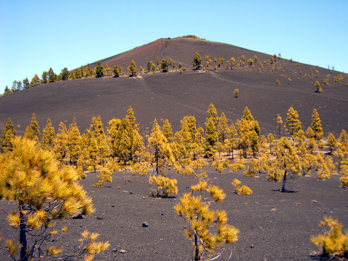 La Palma, Vulkanroute