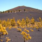 La Palma, Vulkanroute