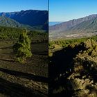 La Palma - Vulkantour (3D-X-View)