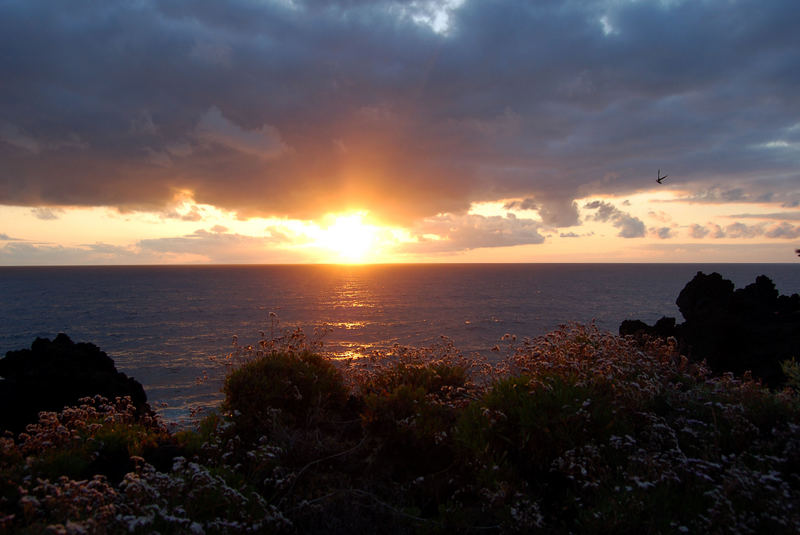 La Palma's Sonnenaufgang