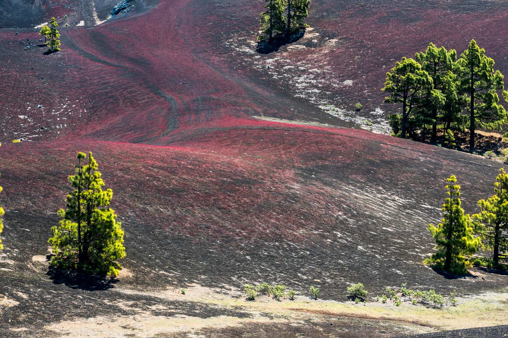 La Palma_Vulkanlandschaft