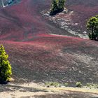 La Palma_Vulkanlandschaft